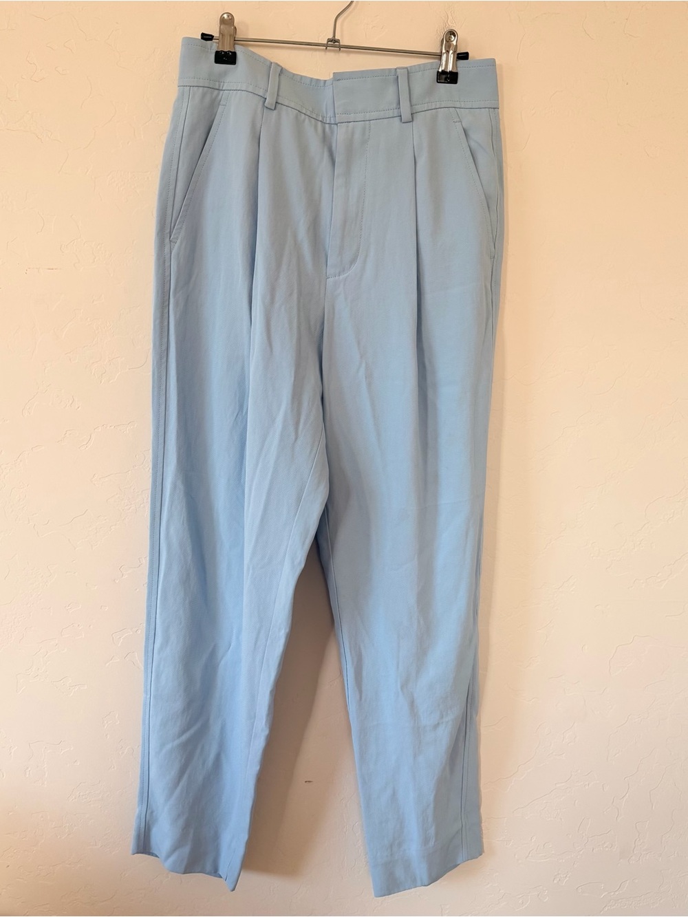Everlane Sky Blue Pleated Dress Pants Size 2
